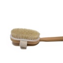 Backbrush