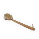 Oval Back Brush